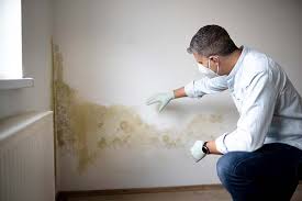 Stepney, CT Mold Remediation Company